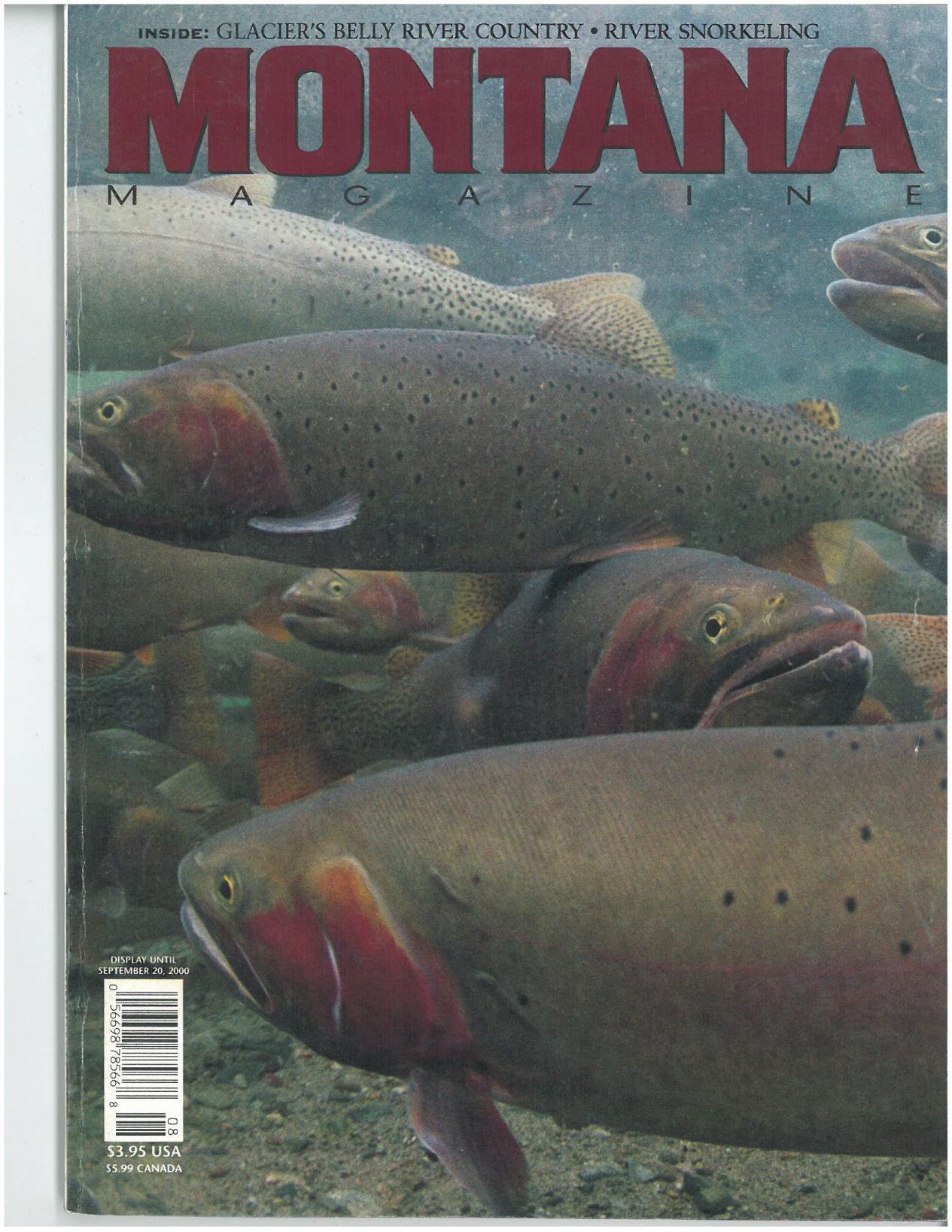 July/August 2000